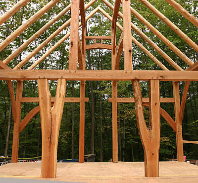 Cambridge Springs timber frame